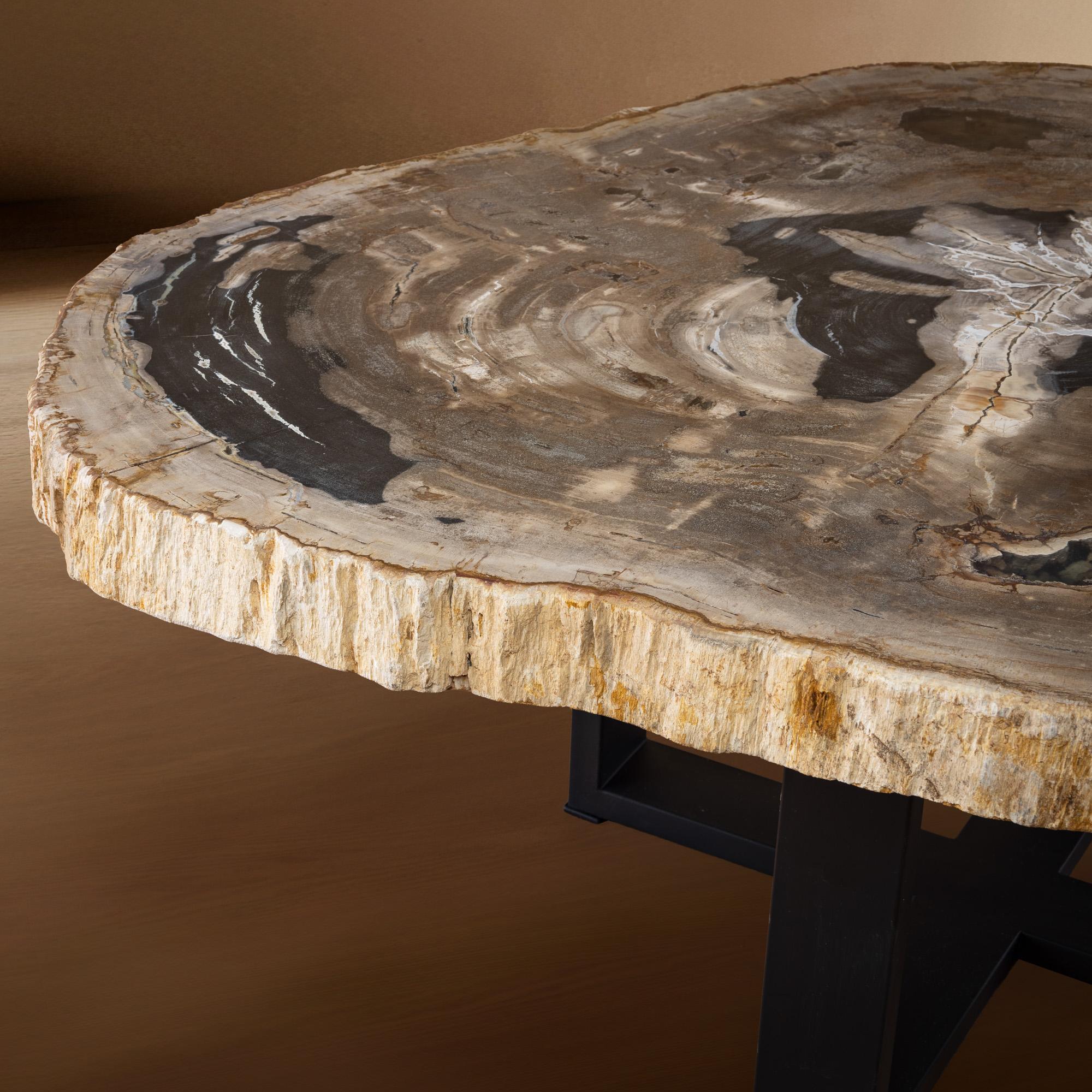 Table centrale ou table basse, de forme naturelle, bois pétrifié avec base en métal Neuf - En vente à Polanco, CDMX