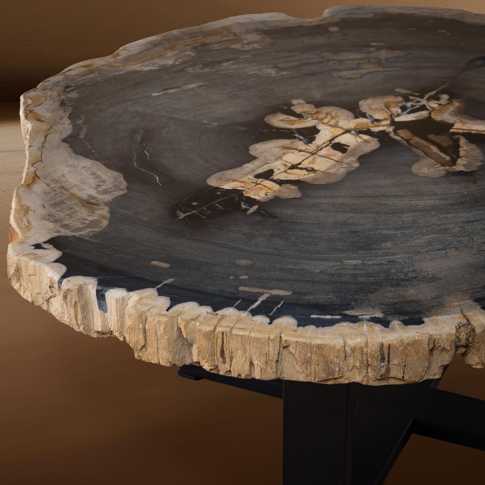 Table centrale ou table basse, de forme naturelle, bois pétrifié avec base en métal Neuf - En vente à Polanco, CDMX