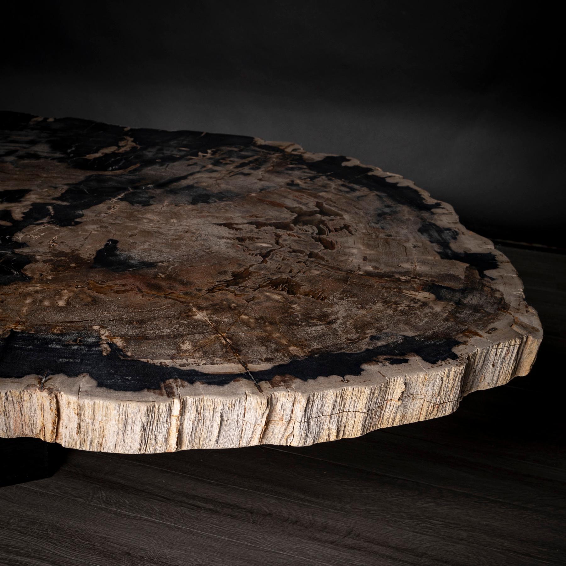 Mittel- oder Couchtisch, natürliches Holz, versteinertes Holz mit Metallsockel (21. Jahrhundert und zeitgenössisch) im Angebot