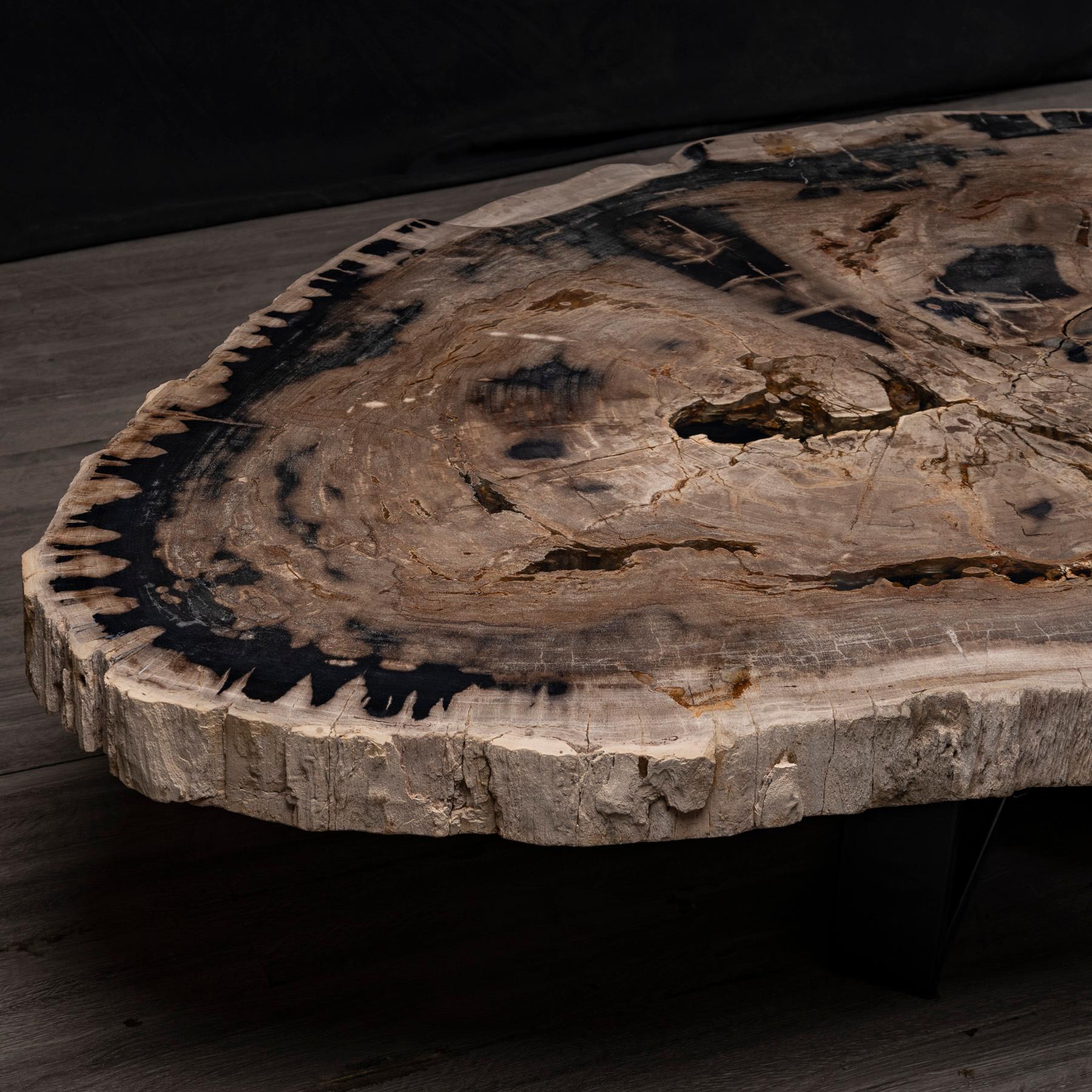XXIe siècle et contemporain Table centrale ou table basse, de forme naturelle, bois pétrifié avec base en métal en vente