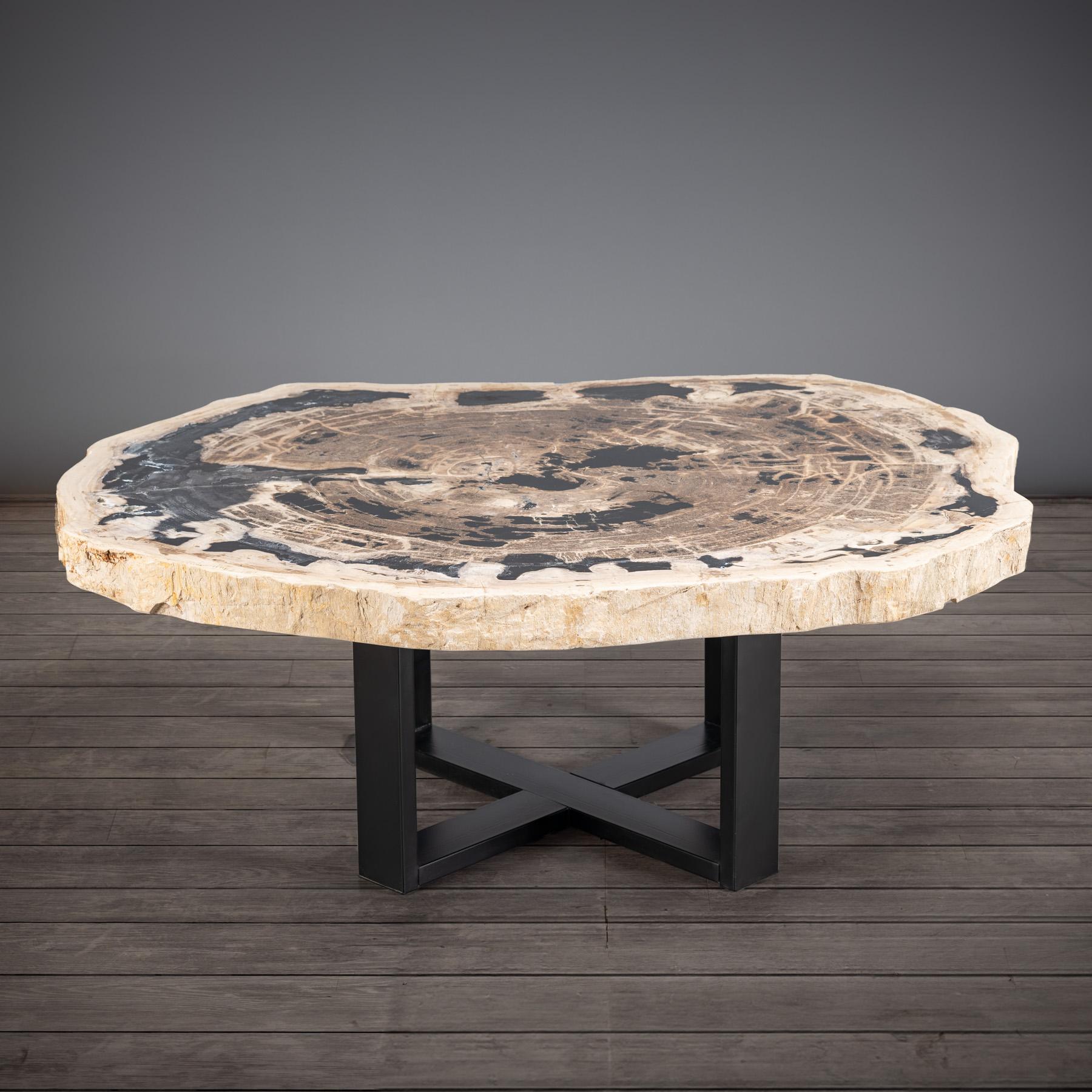 Contemporary Center or Coffee Table, Natural Shape, Petrified Wood with Metal Base