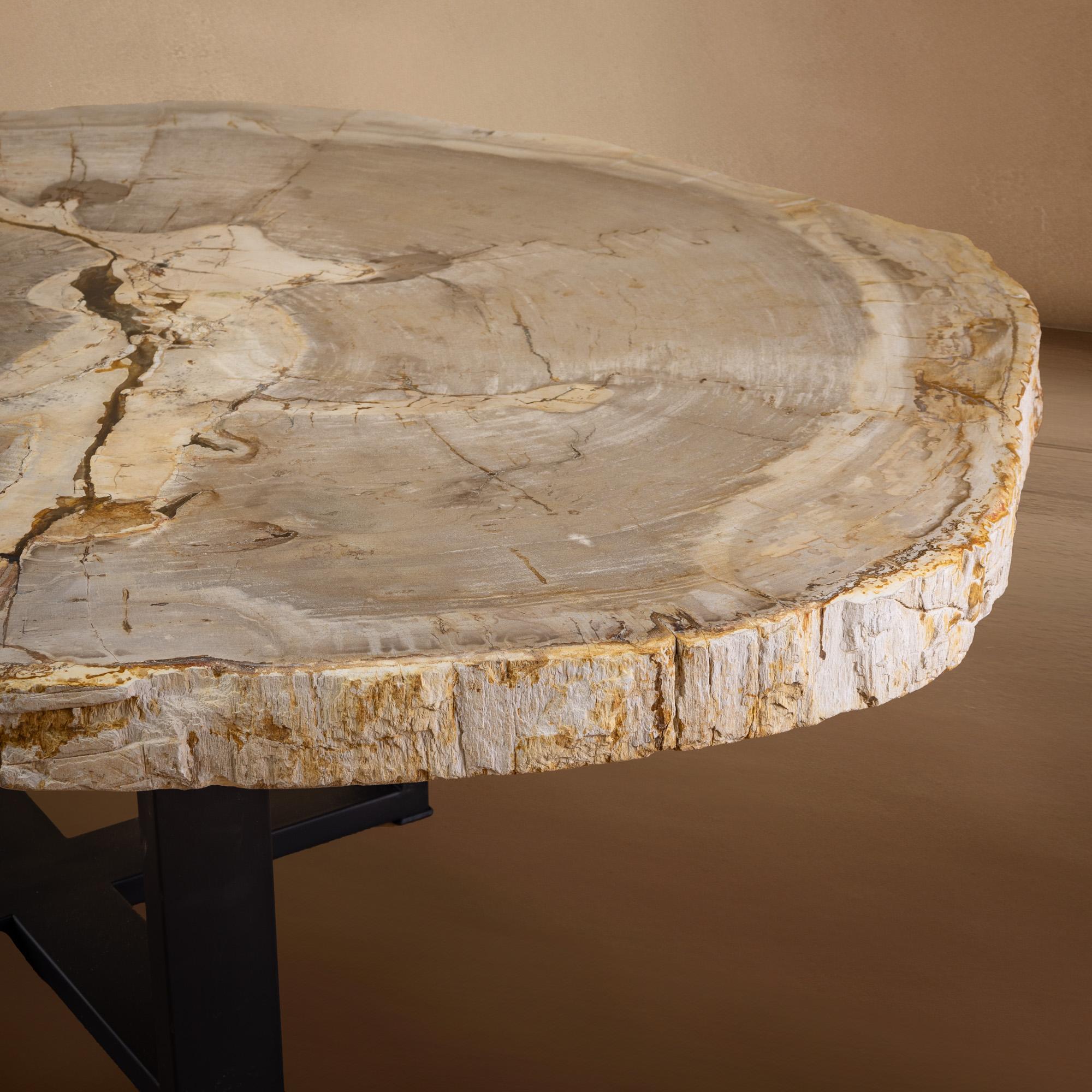 Table centrale ou table basse, de forme naturelle, bois pétrifié avec base en métal Neuf - En vente à Polanco, CDMX