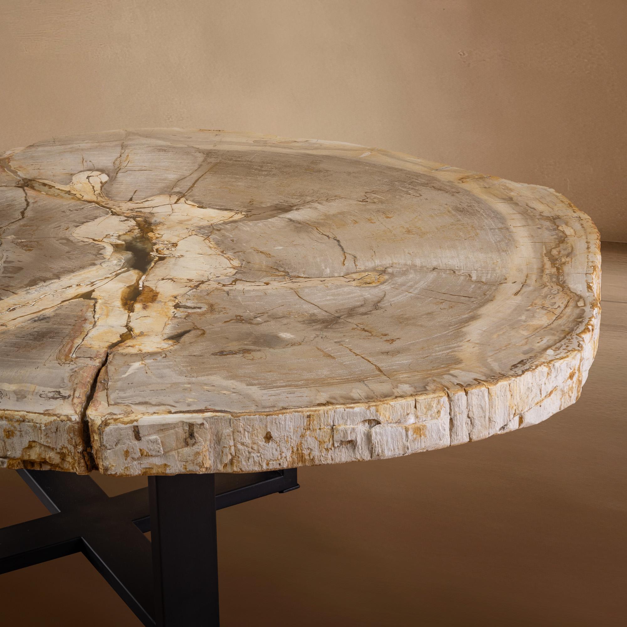 XXI secolo e contemporaneo Tavolino da centro o da caffè in legno pietrificato, forma naturale e base in metallo, Miocene in vendita