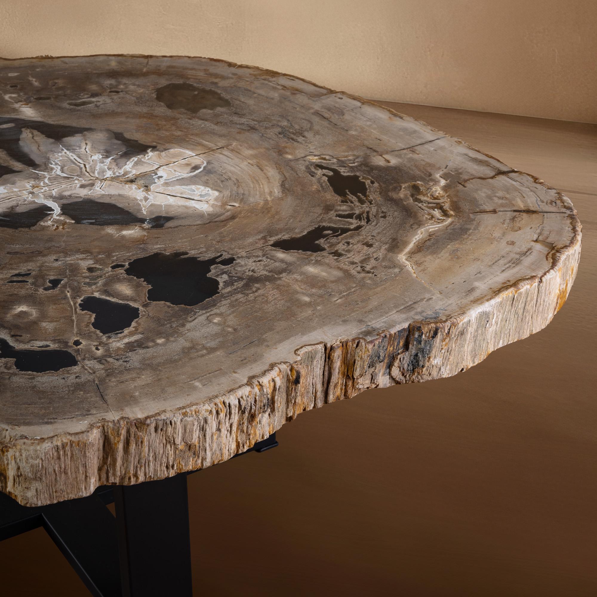 XXIe siècle et contemporain Table centrale ou table basse, de forme naturelle, bois pétrifié avec base en métal en vente