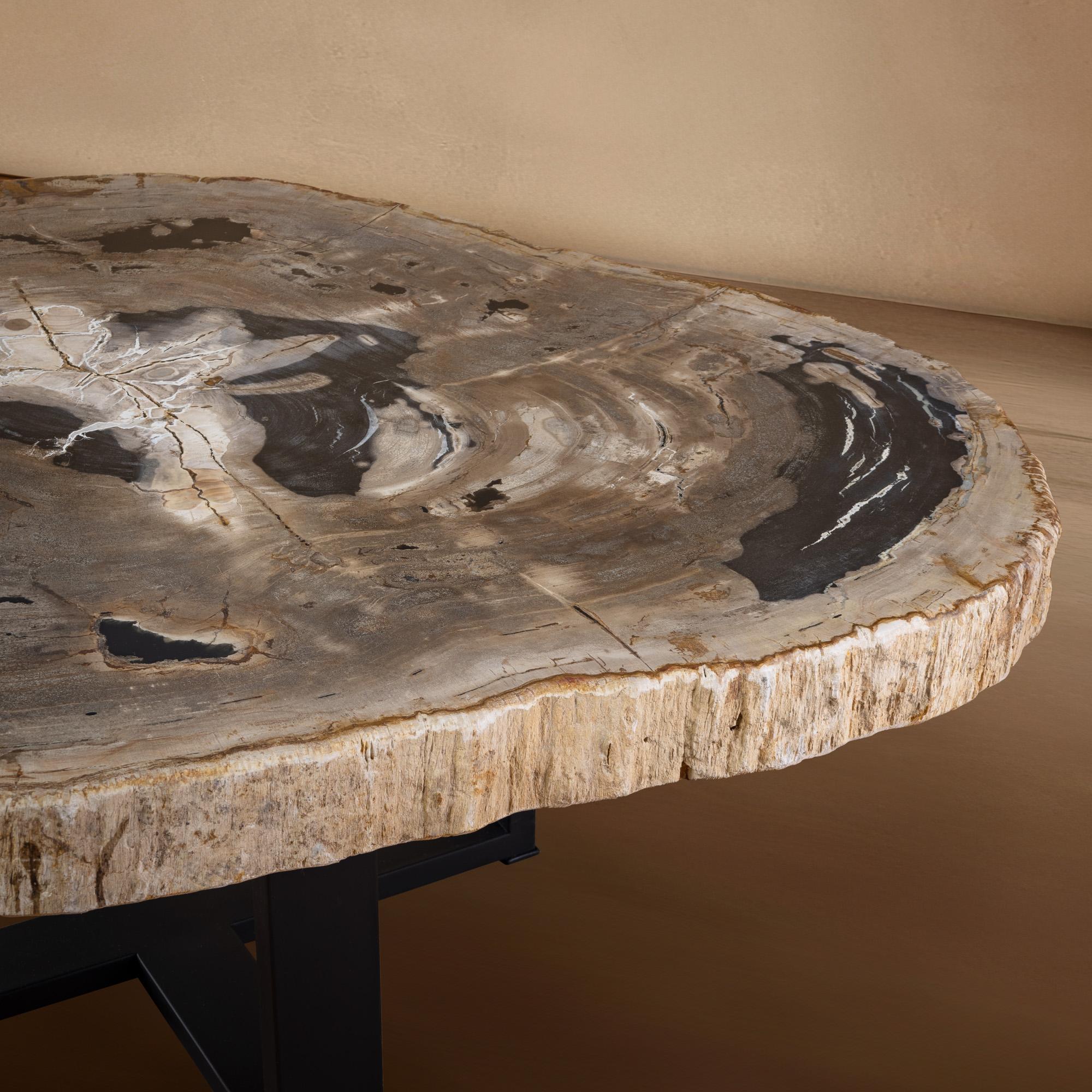 Contemporary 20 Myr Petrified Wood Center or Coffee Table, Natural Shape with Metal Base For Sale