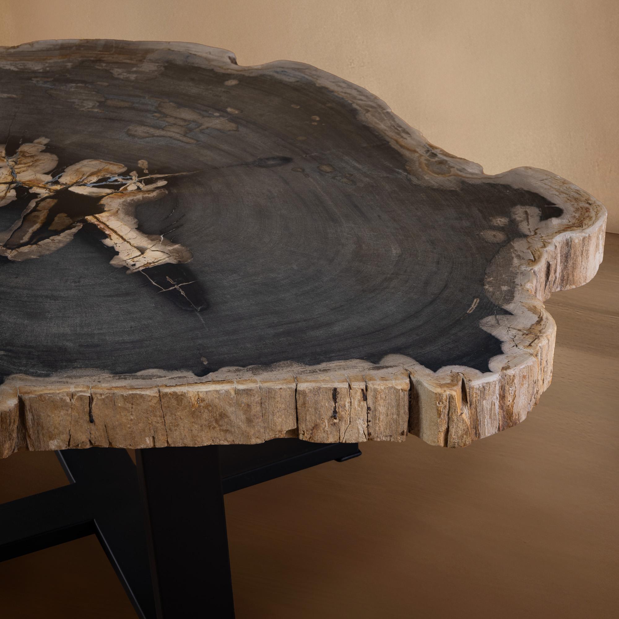 XXIe siècle et contemporain Table centrale ou table basse, de forme naturelle, bois pétrifié avec base en métal en vente