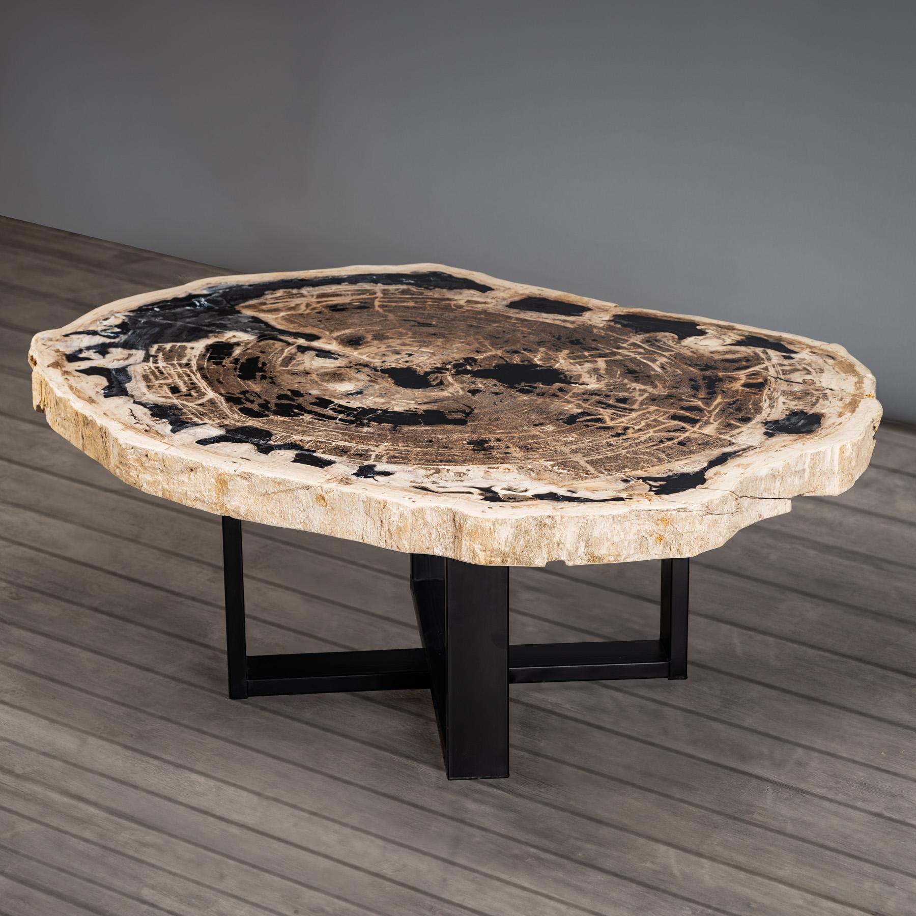 Center or Coffee Table, Natural Shape, Petrified Wood with Metal Base For Sale 1