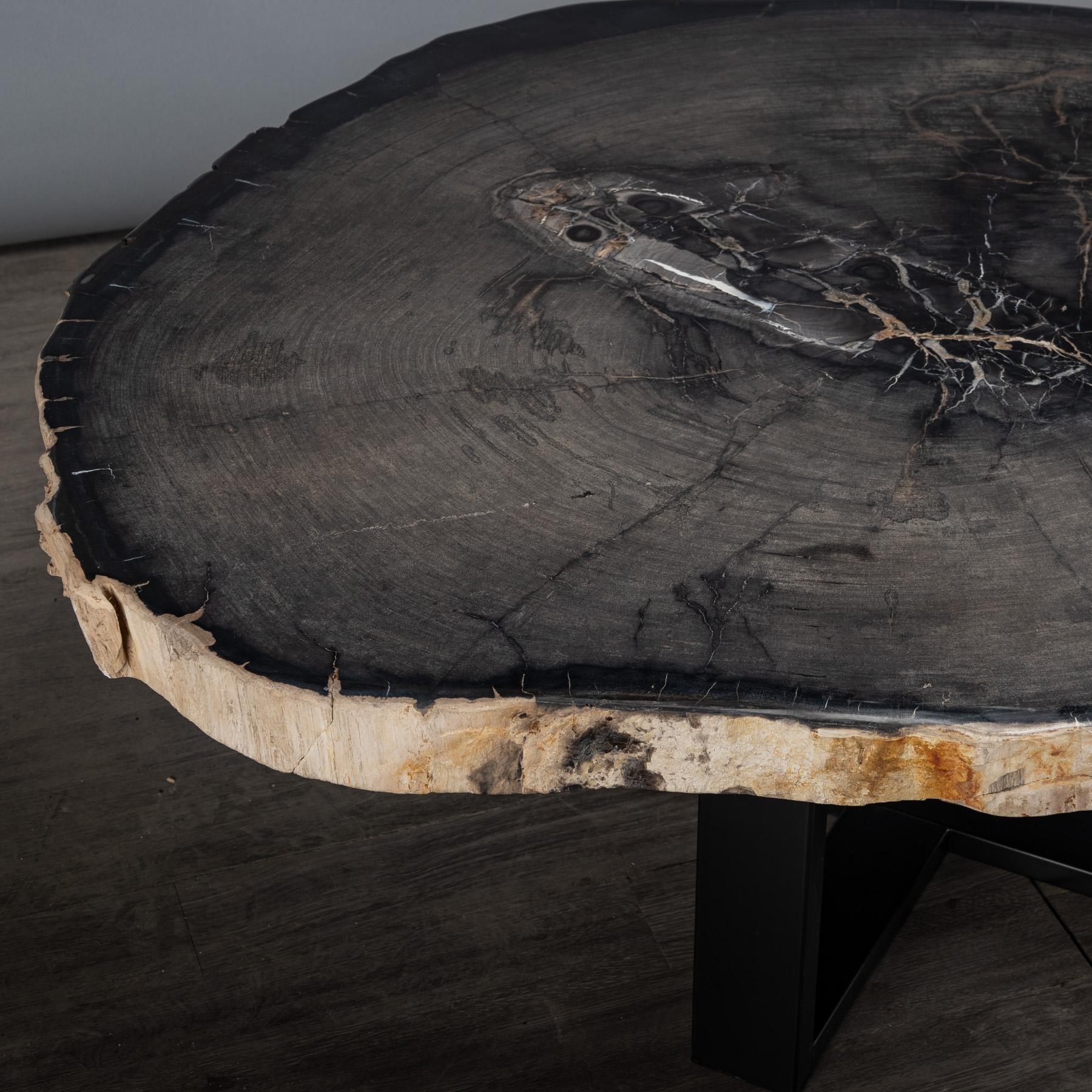 Center or Coffee Table, Natural Shape, Petrified Wood with Metal Base 1