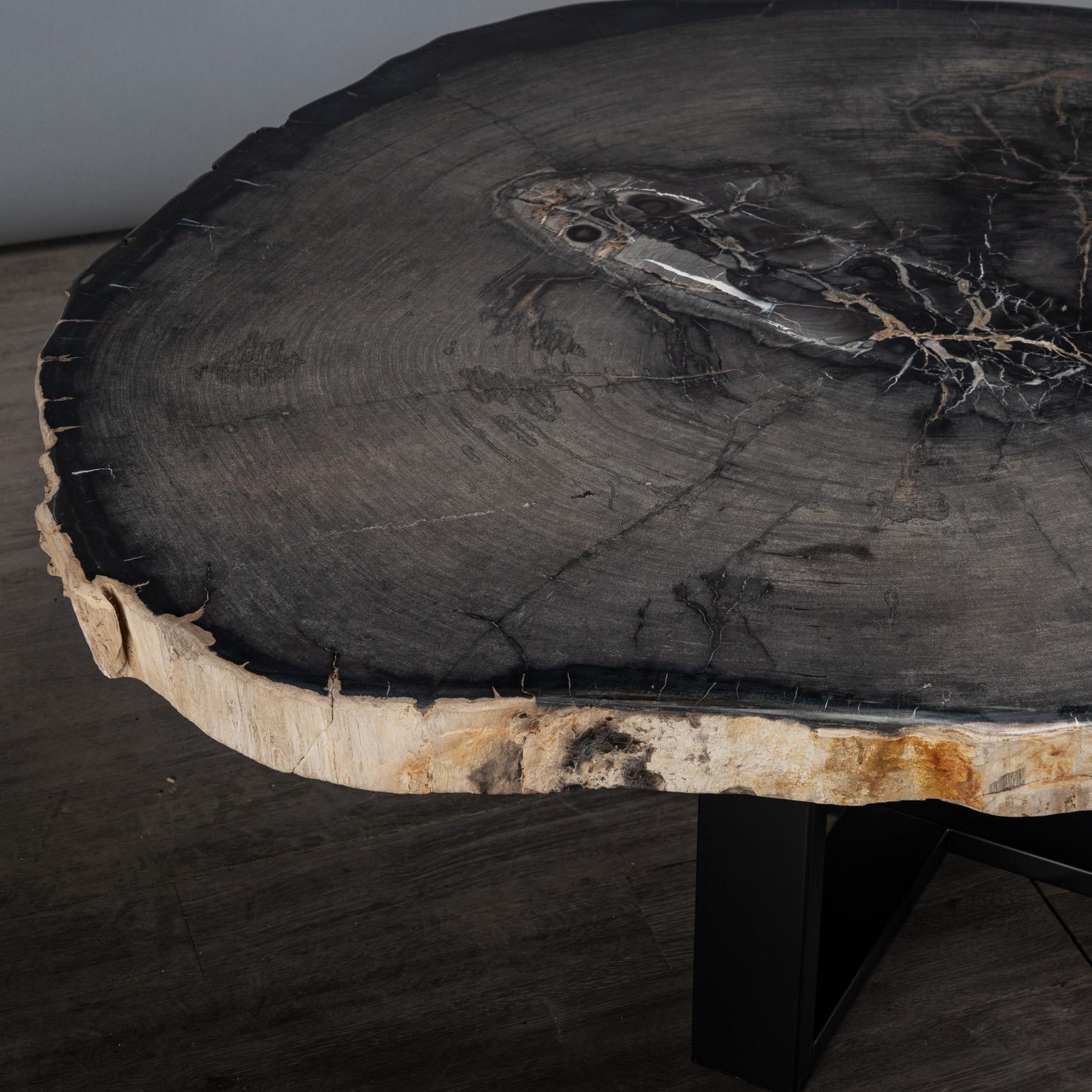 Center or Coffee Table, Natural Shape, Petrified Wood with Metal Base For Sale 1