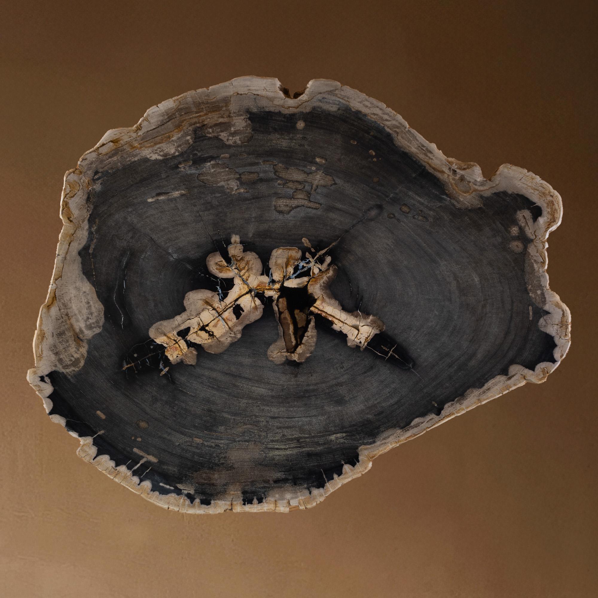 Métal Table centrale ou table basse, de forme naturelle, bois pétrifié avec base en métal en vente