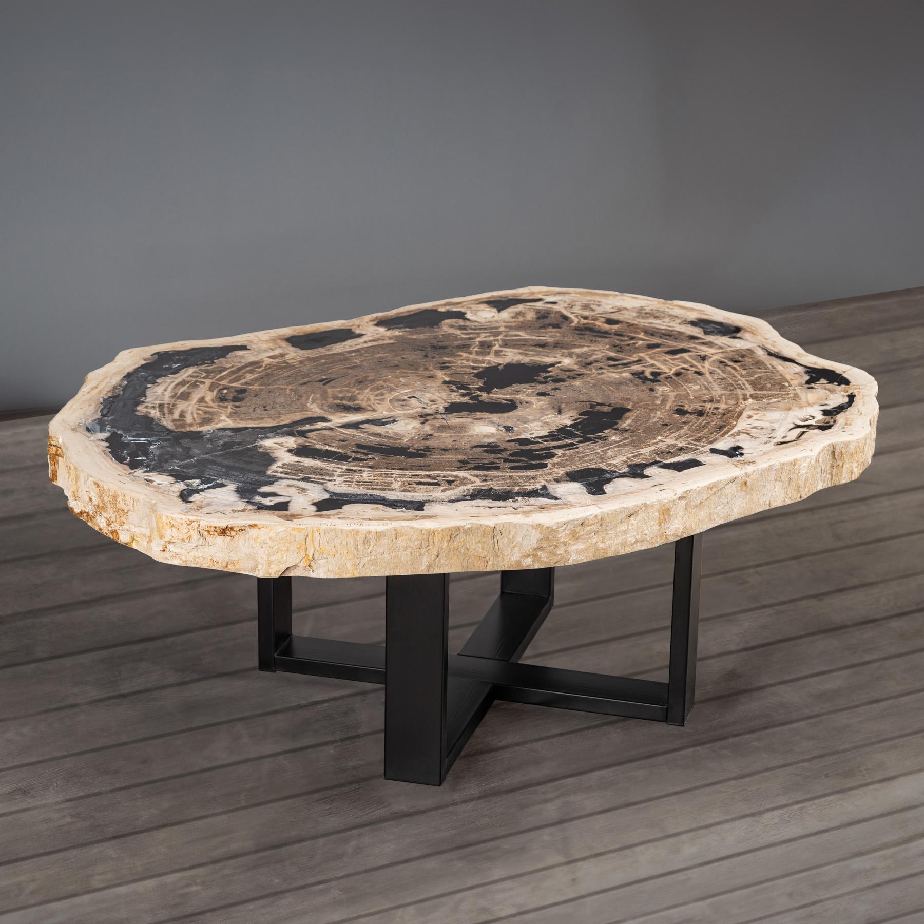 Center or Coffee Table, Natural Shape, Petrified Wood with Metal Base 2