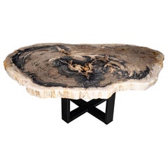 Center or Coffee Table, Natural Shape, Petrified Wood with Metal Base