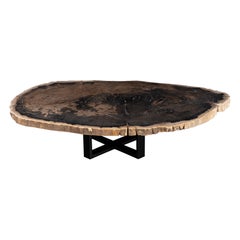 Center or Coffee Table, Natural Shape, Petrified Wood with Metal Base