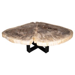 Tavolino da centro o da caffè, forma naturale, legno pietrificato con base in metallo