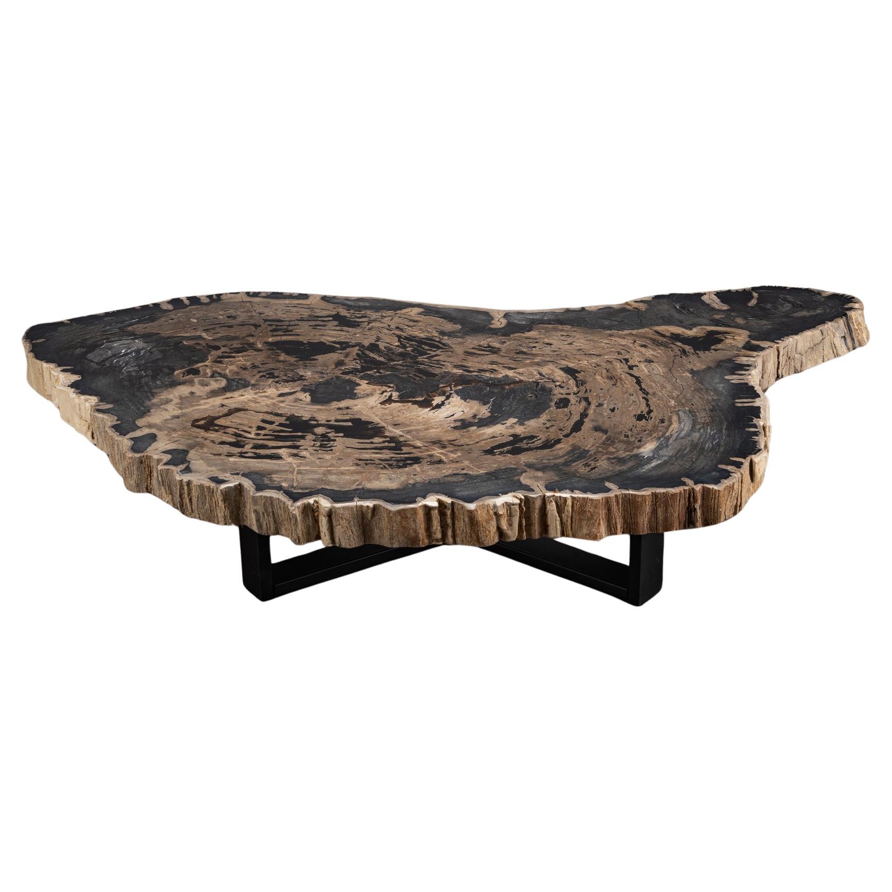 Center or Coffee Table, Natural Shape, Petrified Wood with Metal Base