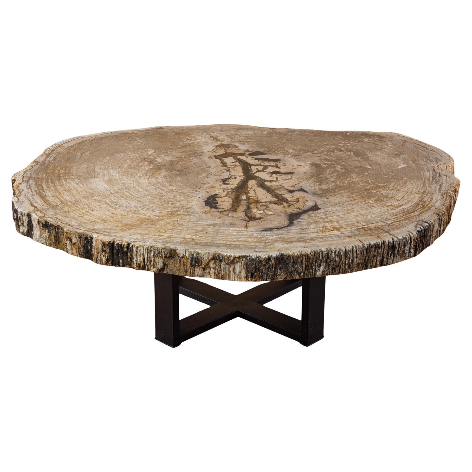 Tavolino da centro o da caffè in legno pietrificato, forma naturale e base in metallo, Miocene