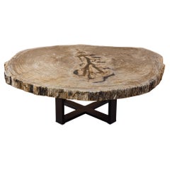 Tavolino da centro o da caffè in legno pietrificato, forma naturale e base in metallo, Miocene