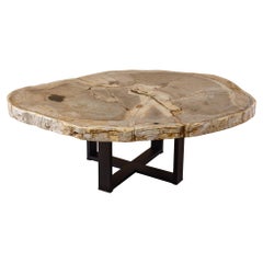 Mesa de centro o de café de madera petrificada, forma natural y base de metal, época del Mioceno