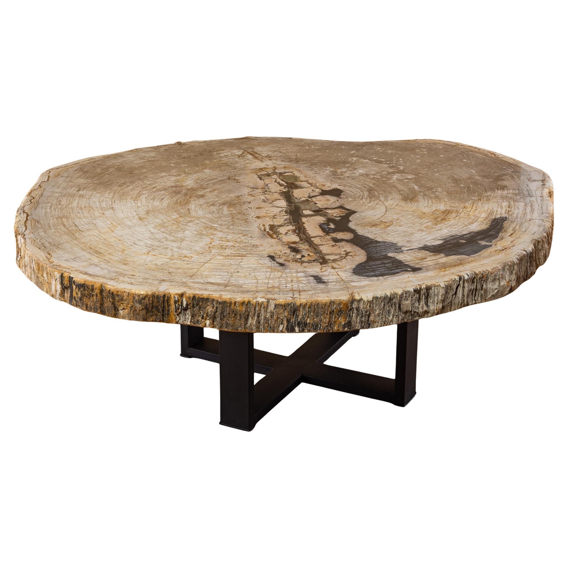 Tavolino da centro o da caffè in legno pietrificato, forma naturale e base in metallo Miocene