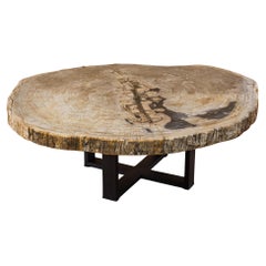 Tavolino da centro o da caffè in legno pietrificato, forma naturale e base in metallo Miocene