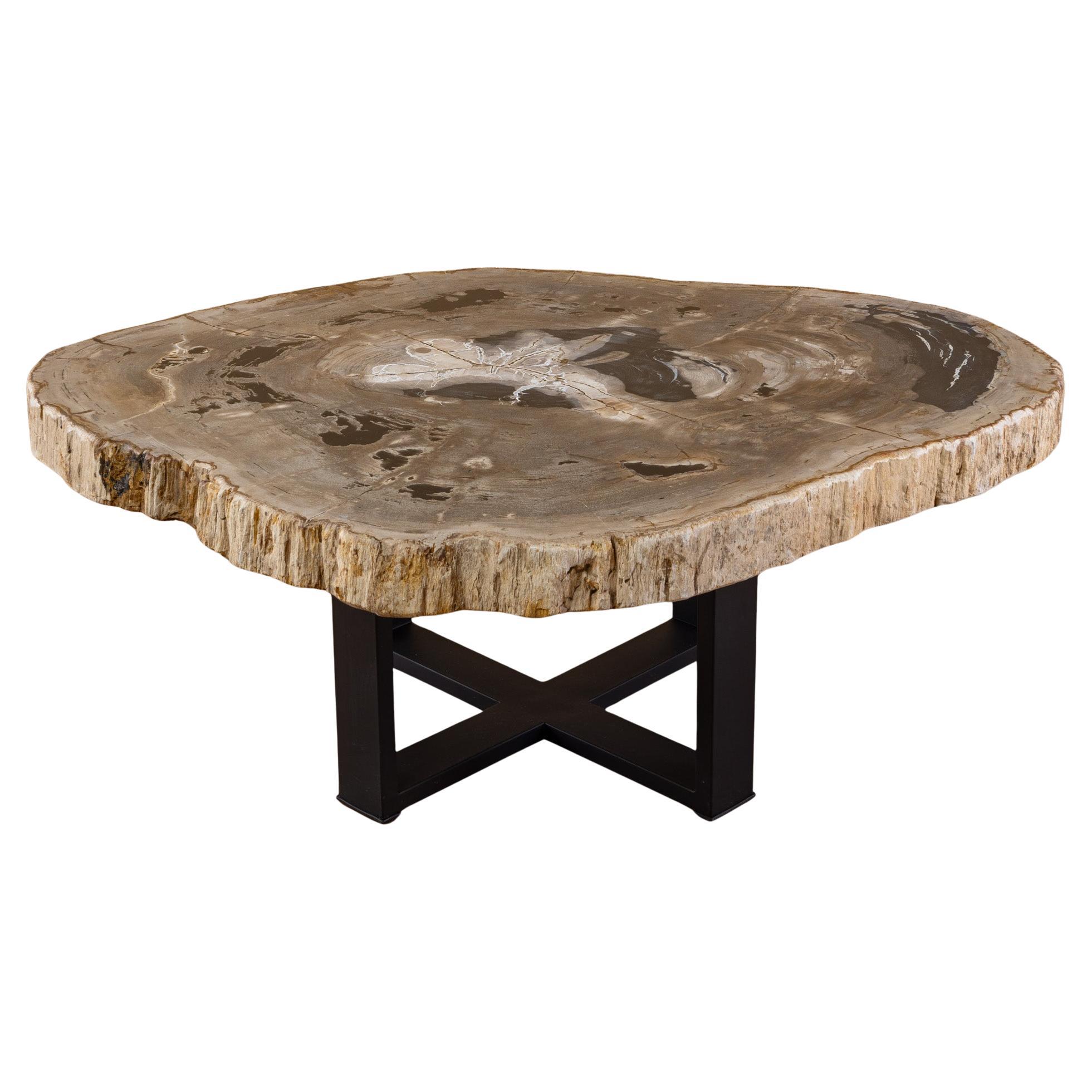 20 Myr Petrified Wood Center or Coffee Table, Natural Shape with Metal Base