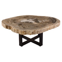 Mesa de centro o café de madera petrificada de 20 Myr, forma natural con base de metal