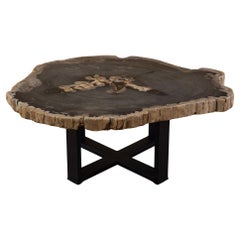 Miocene era Petrified Wood Coffee Table, Natural Shape, with Metal Base