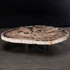 Mesa de centro o de salón, forma natural, madera petrificada con base de metal, de dos piezas
