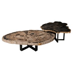 Mesa de centro o de salón, forma natural, madera petrificada con base de metal, de dos piezas