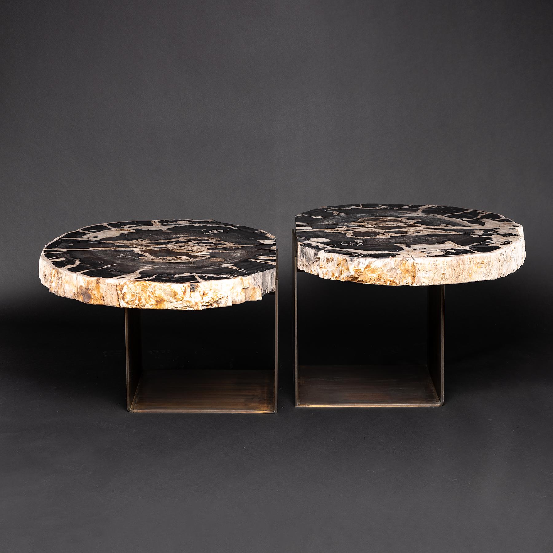 Center table, double petrified wood table with brass-plated antique patina metal base
Source: Java, Indonesia
Wood fossilization is a group of processes where all organic material is replaced by minerals. Petrifaction process occurs underground