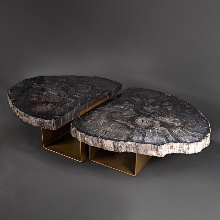 Center Table, Double Petrified Wood Table with BrassPlated Metal Base
