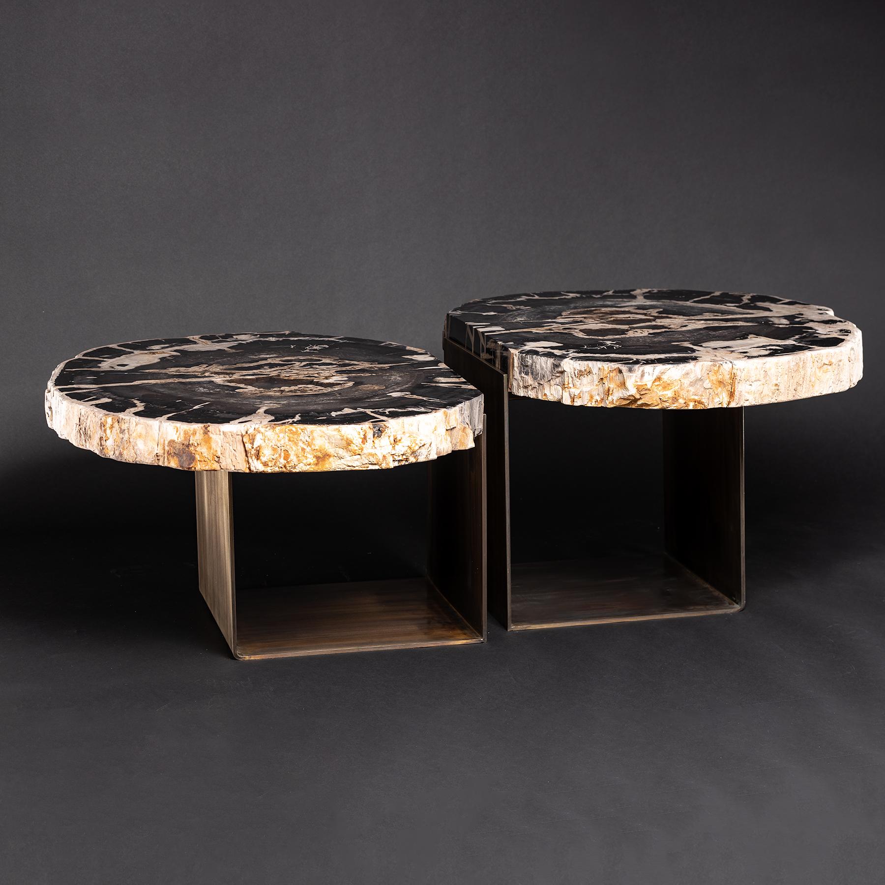 Organic Modern Center Table, Double Petrified Wood Table with Brass-Plated Metal Base