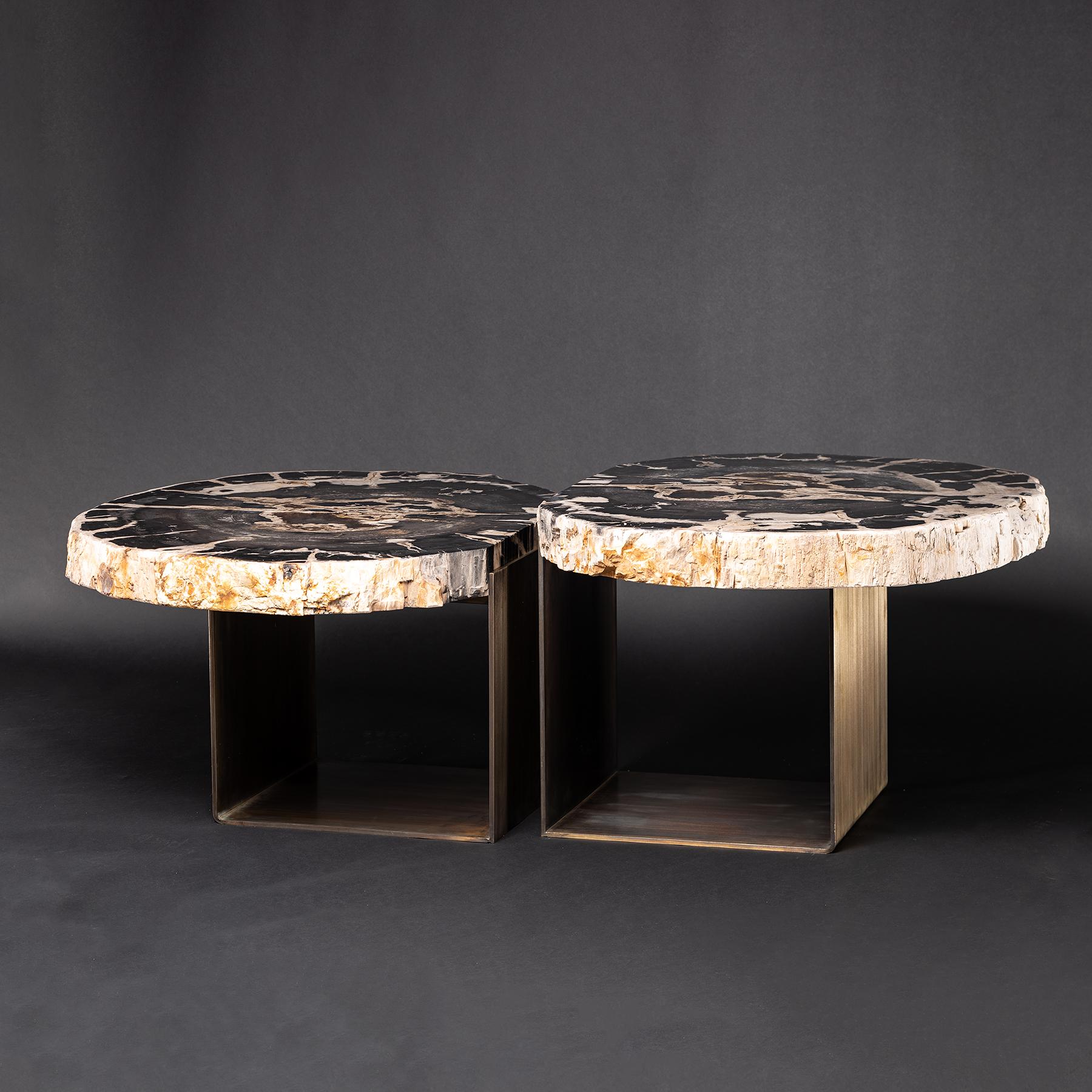 Mexican Center Table, Double Petrified Wood Table with Brass-Plated Metal Base