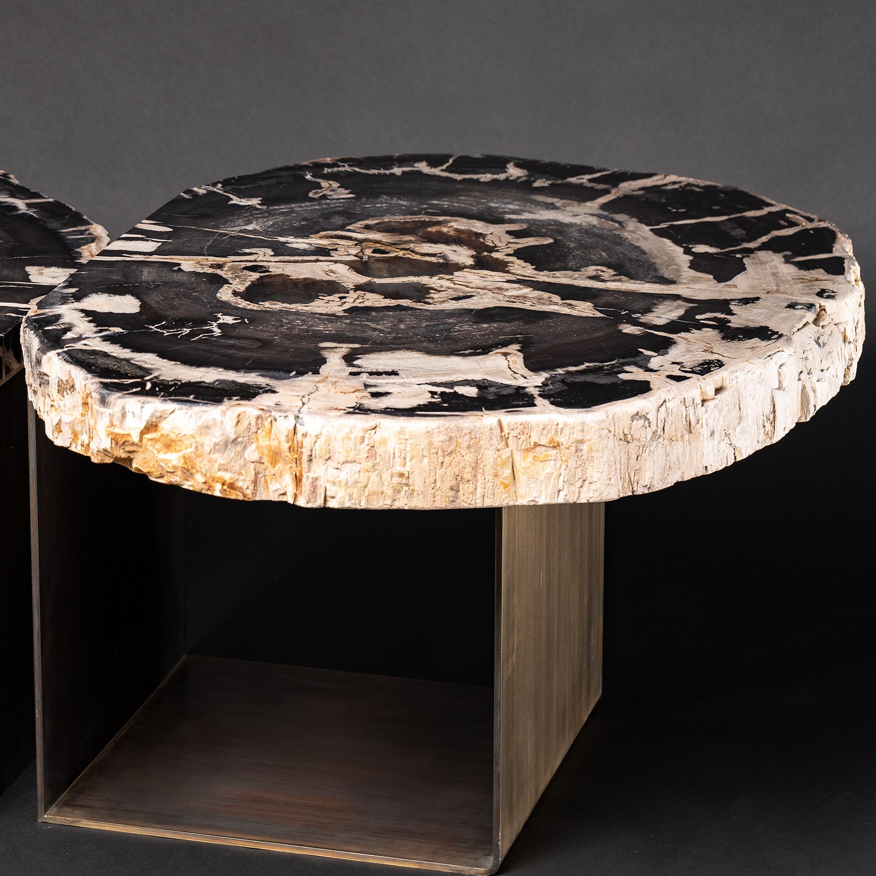 Polished Center Table, Double Petrified Wood Table with Brass-Plated Metal Base