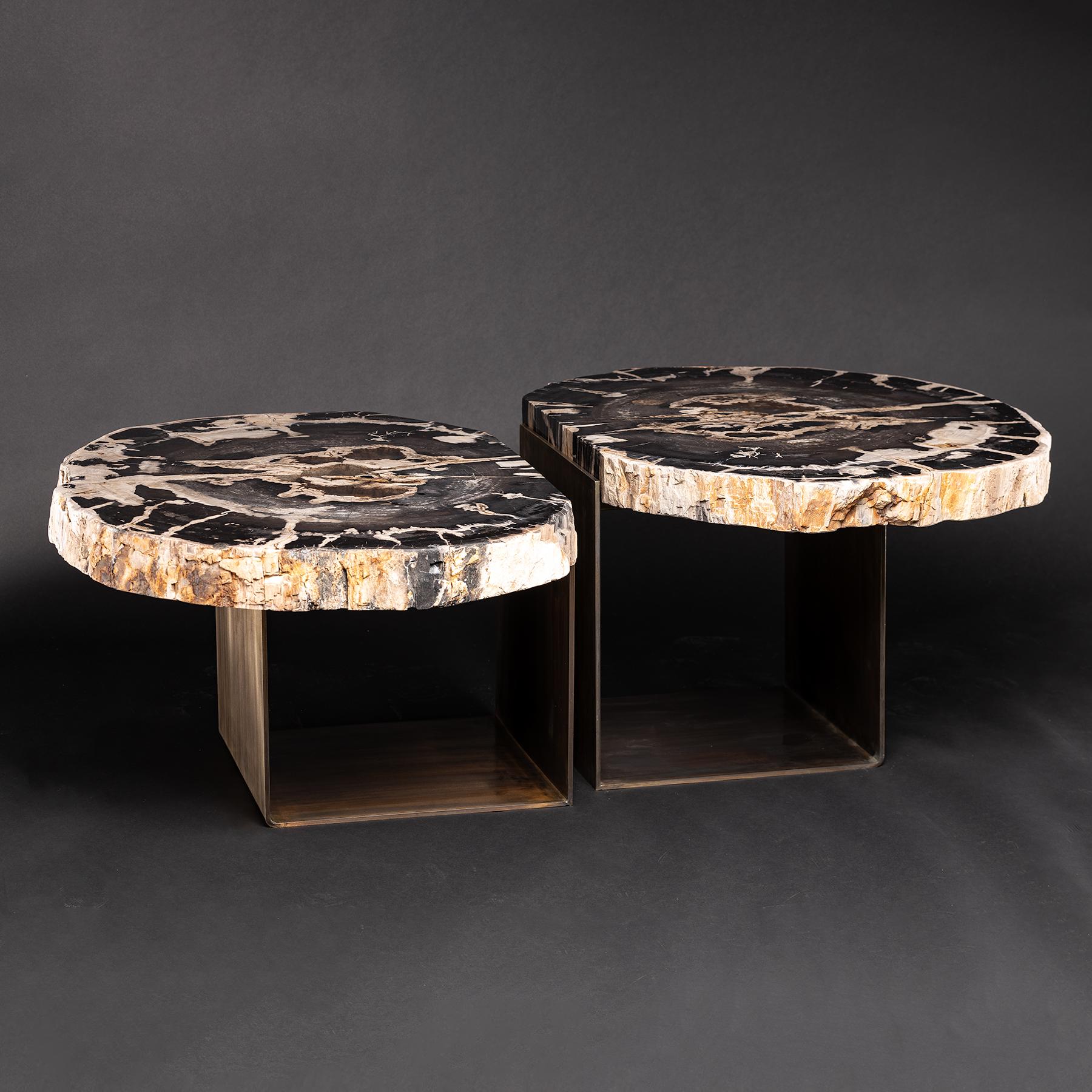 Center Table, Double Petrified Wood Table with Brass-Plated Metal Base 1