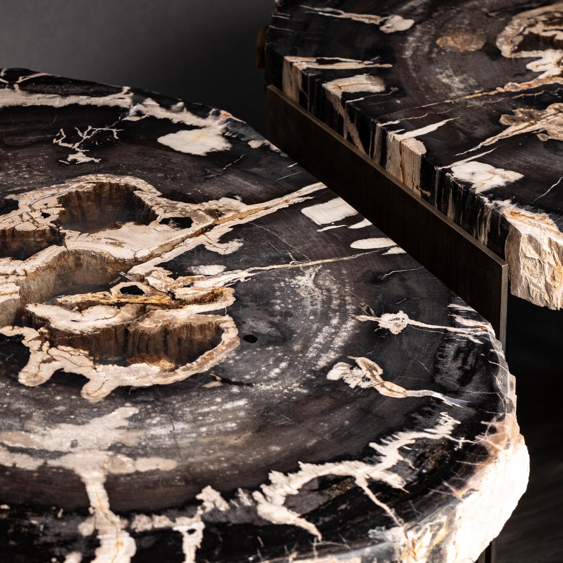 Center Table, Double Petrified Wood Table with Brass-Plated Metal Base 2