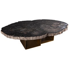 Center Table, Double Petrified Wood Table with Brass-Plated Metal Base