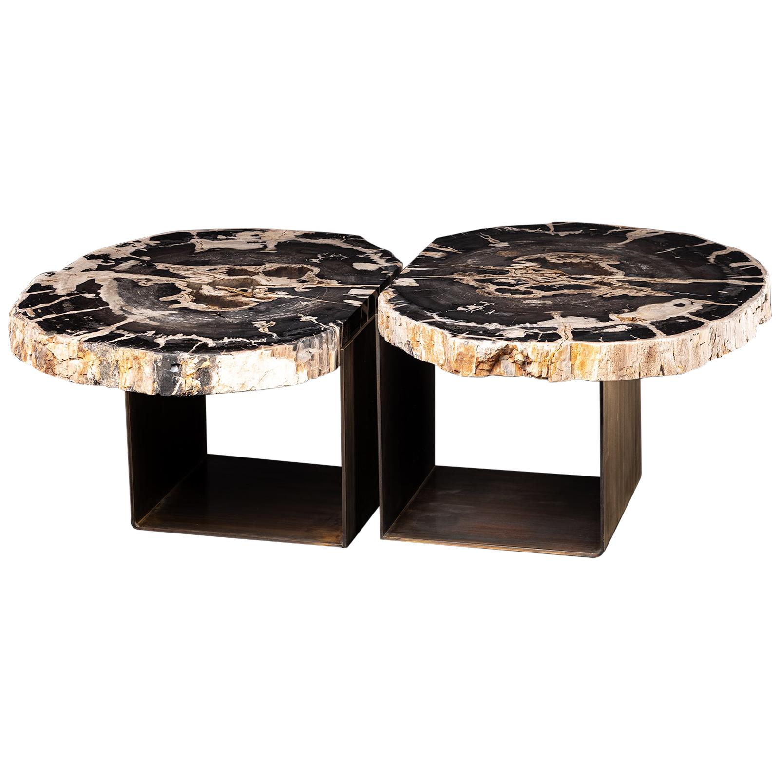 Center Table, Double Petrified Wood Table with Brass-Plated Metal Base