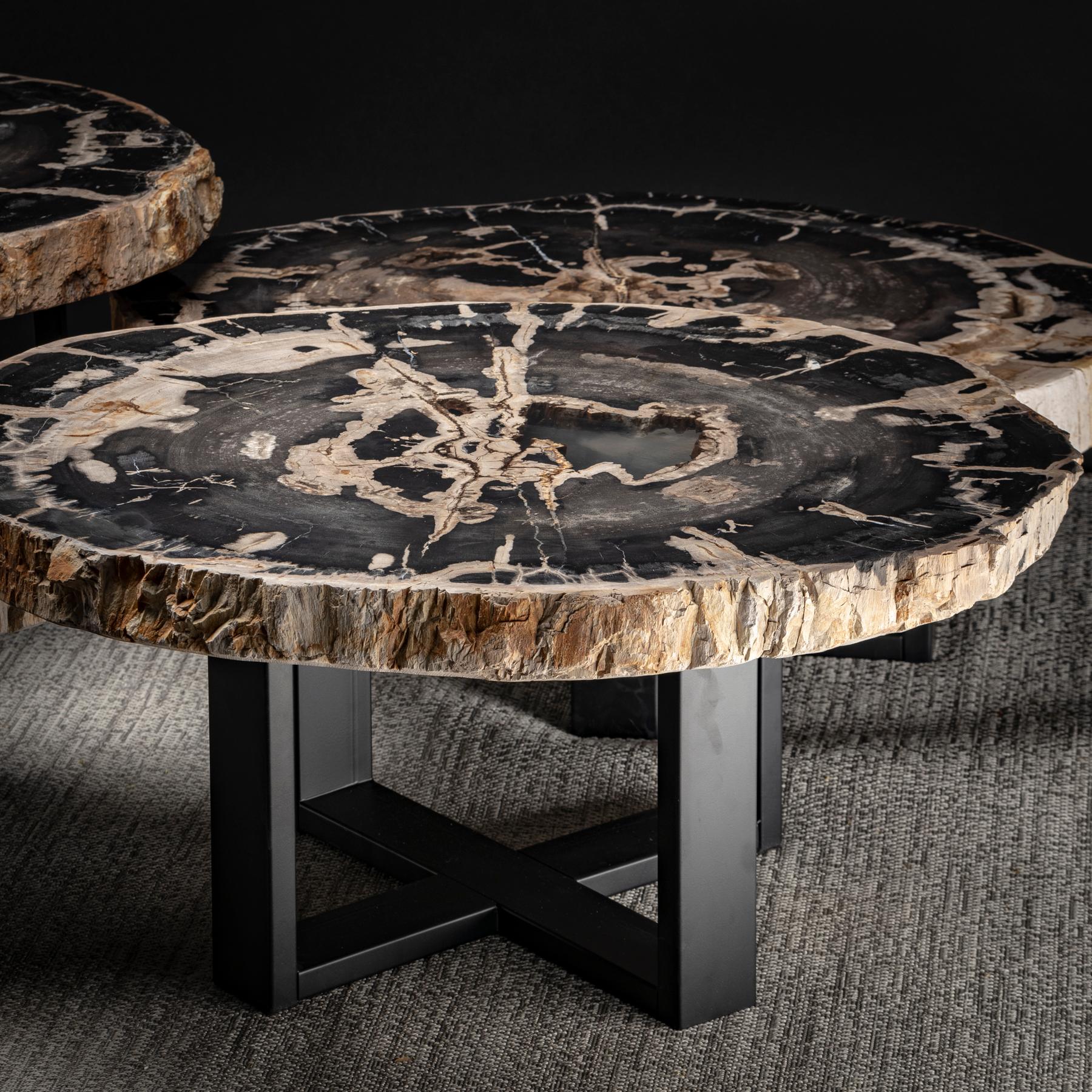 Center Table, Four-Piece Petrified Wood Table with Metal Base 4