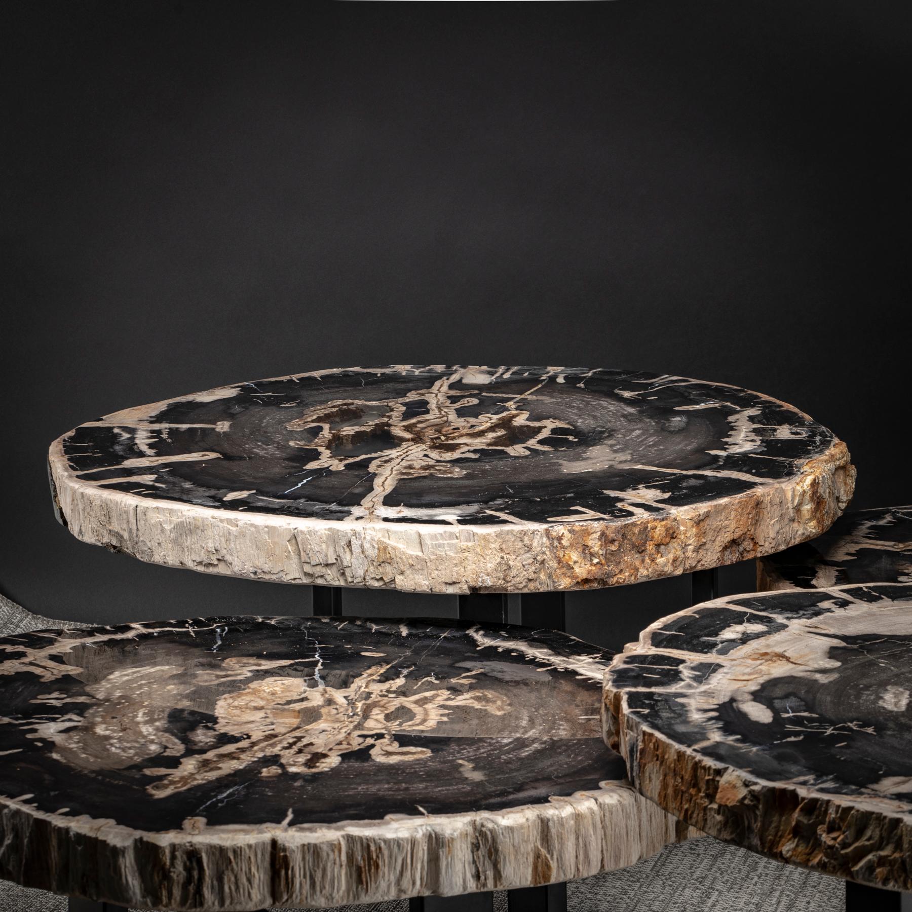 Center Table, Four-Piece Petrified Wood Table with Metal Base 5