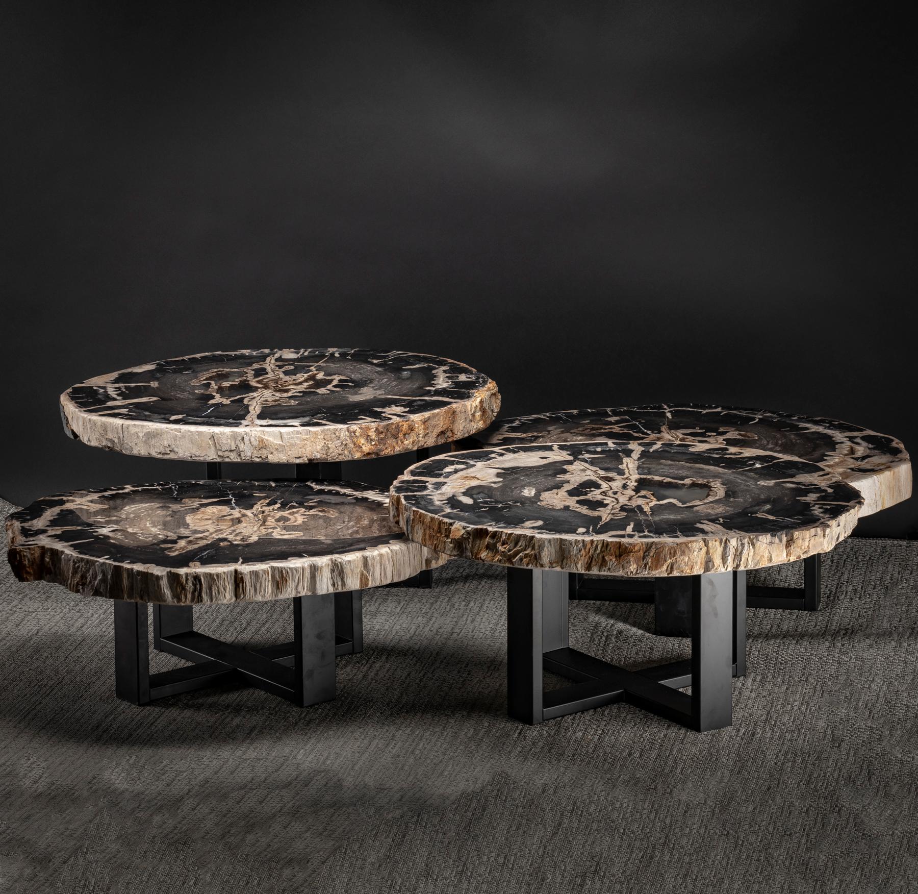 One of a kind Center table, featuring 4 individual petrified wood tables at different height with metal base
Source: Java, Indonesia
Wood fossilization is a group of processes where all organic material is replaced by minerals. Petrifaction