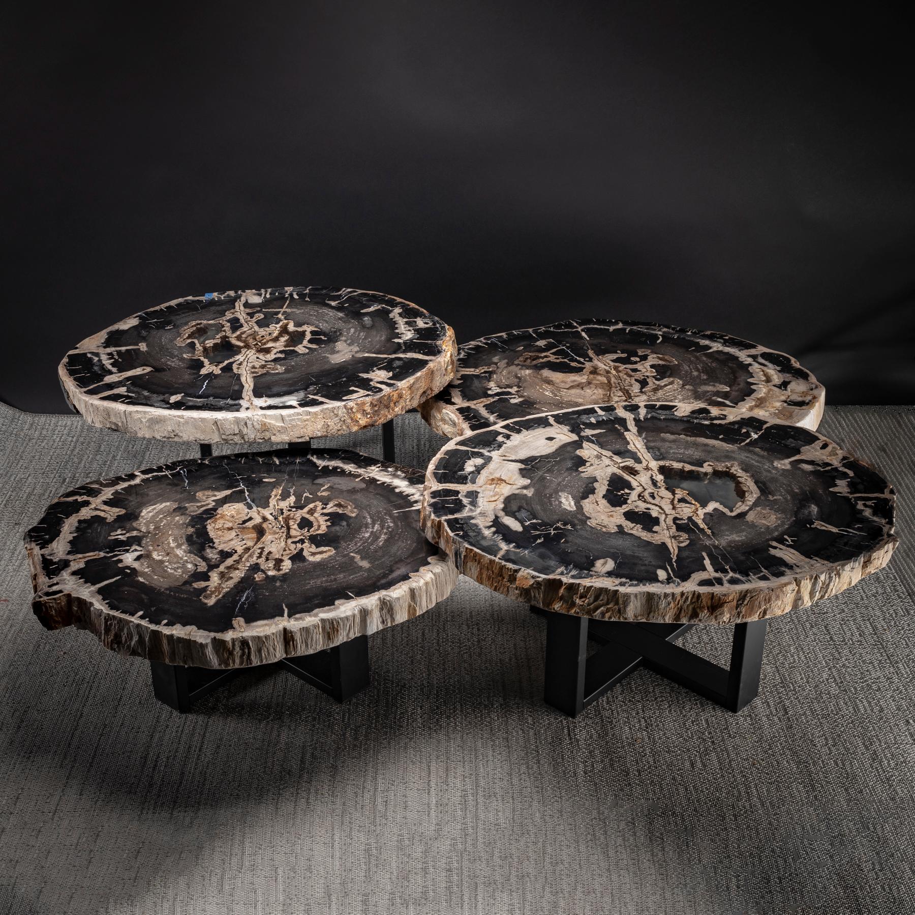 Organic Modern Center Table, Four-Piece Petrified Wood Table with Metal Base