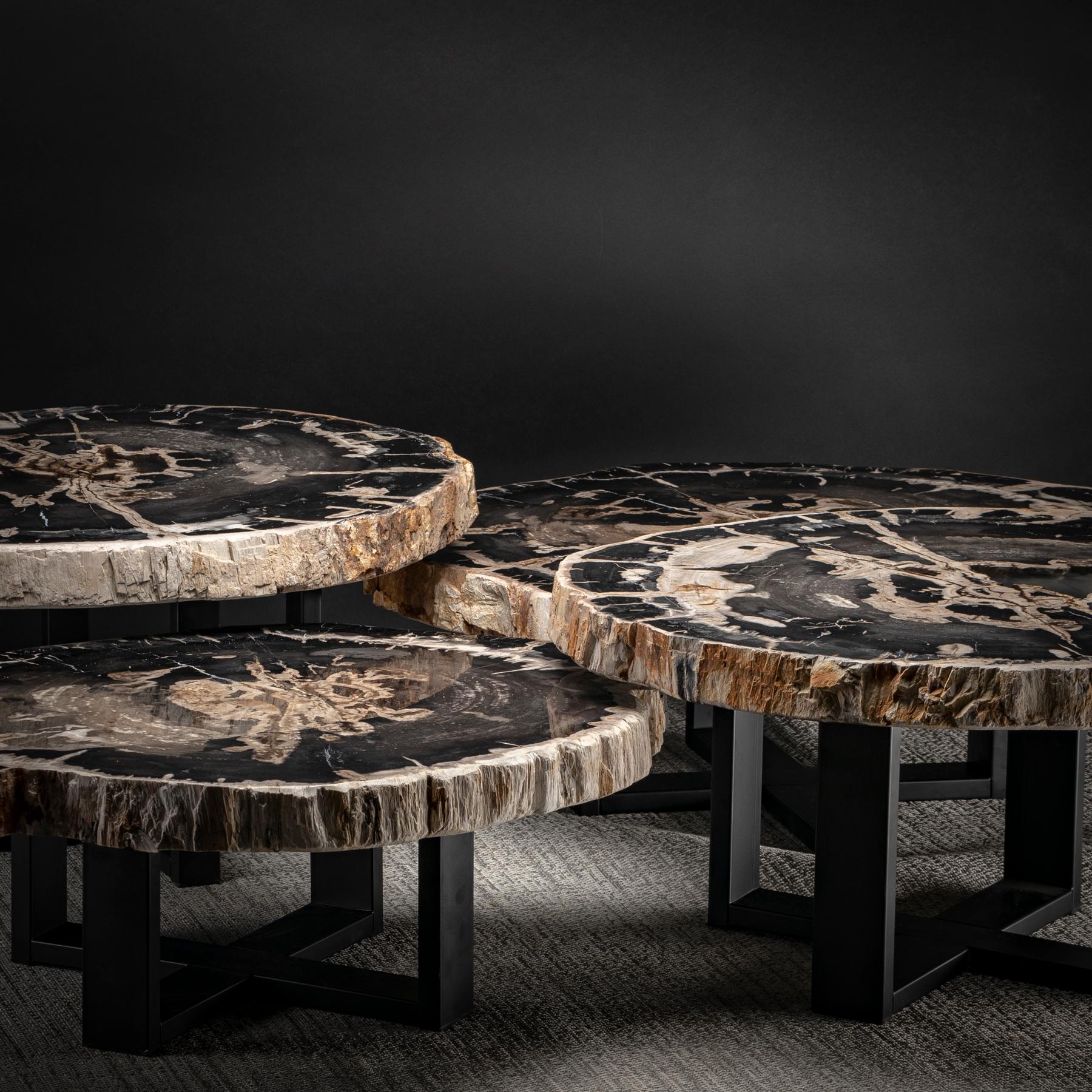 Mexican Center Table, Four-Piece Petrified Wood Table with Metal Base