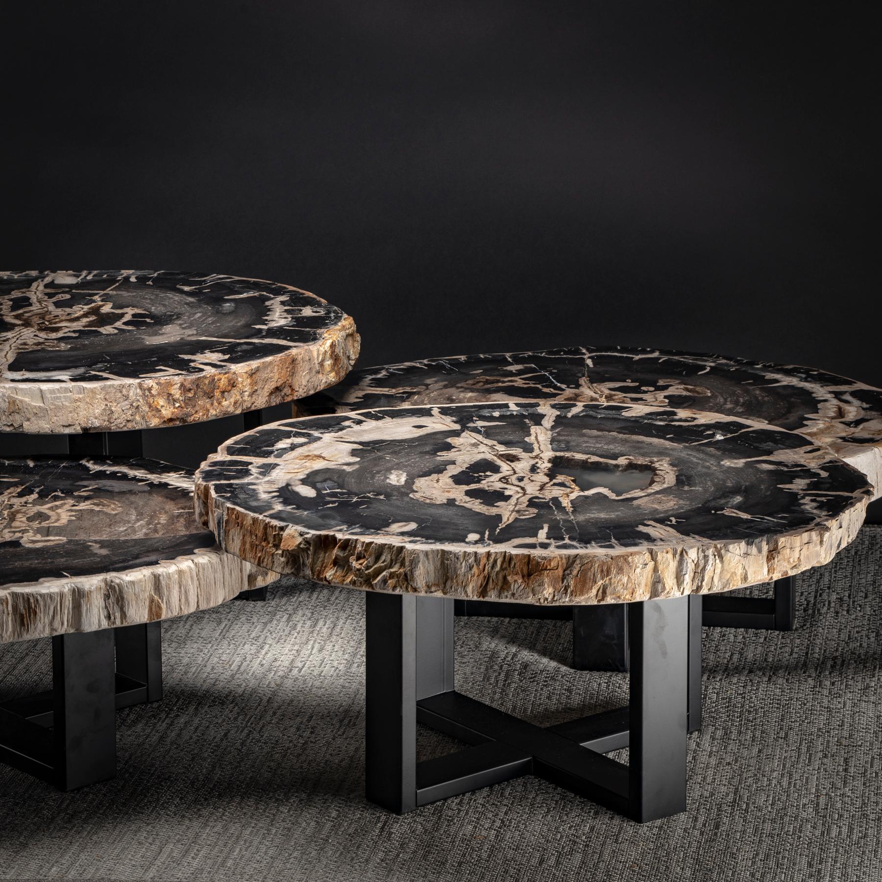 Polished Center Table, Four-Piece Petrified Wood Table with Metal Base