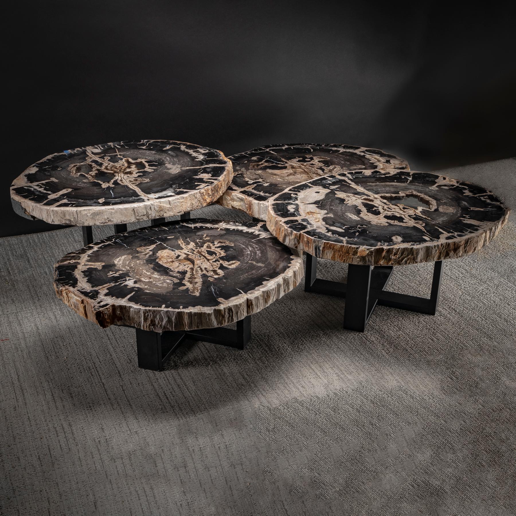 Center Table, Four-Piece Petrified Wood Table with Metal Base In New Condition In Polanco, CDMX