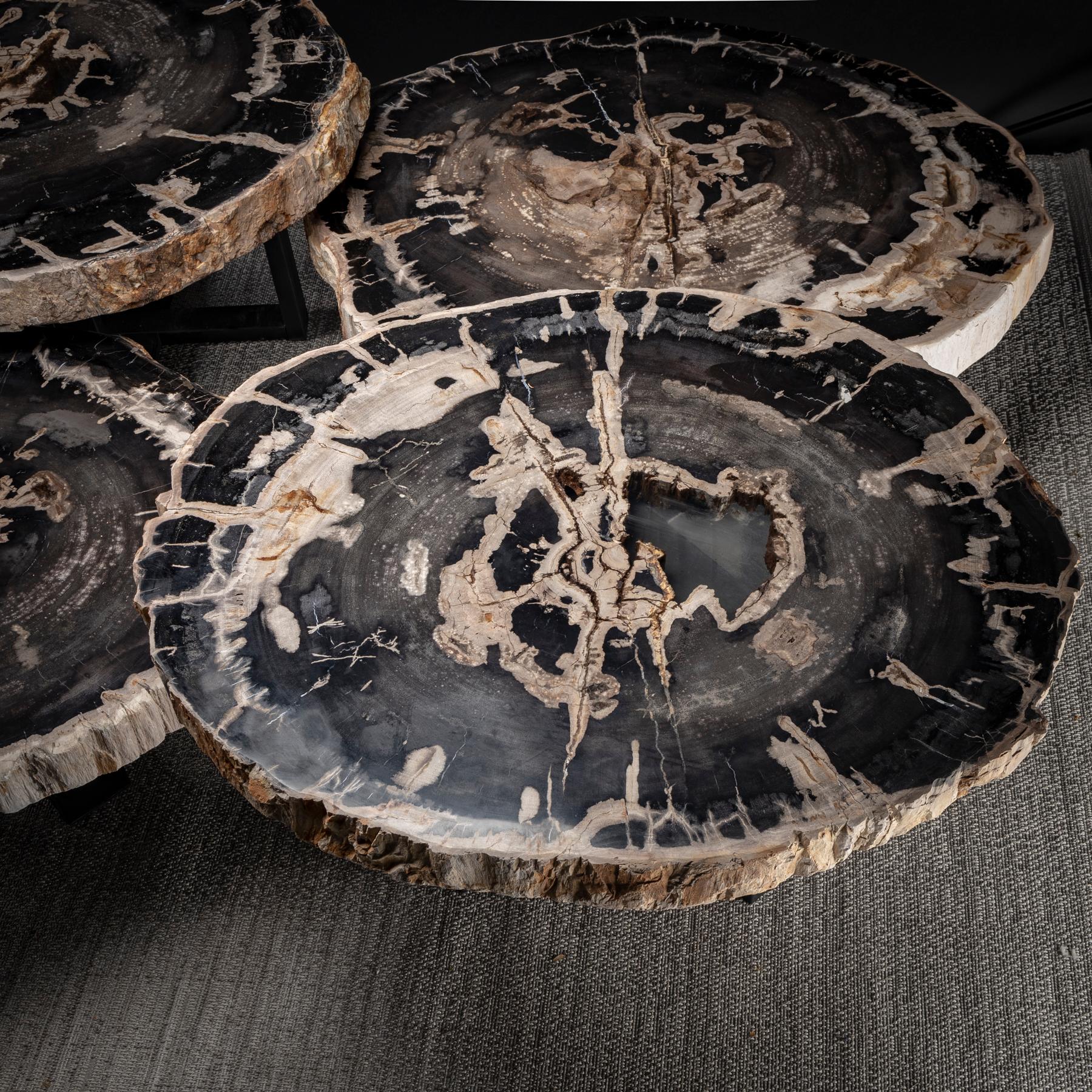 Contemporary Center Table, Four-Piece Petrified Wood Table with Metal Base