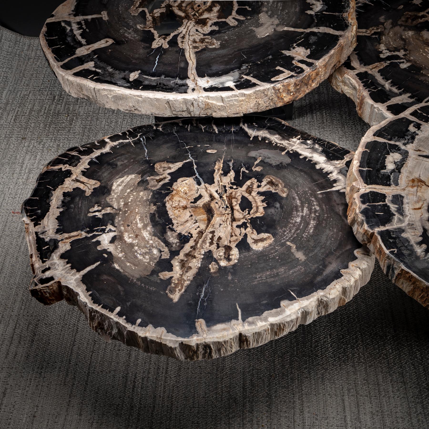 Center Table, Four-Piece Petrified Wood Table with Metal Base 1