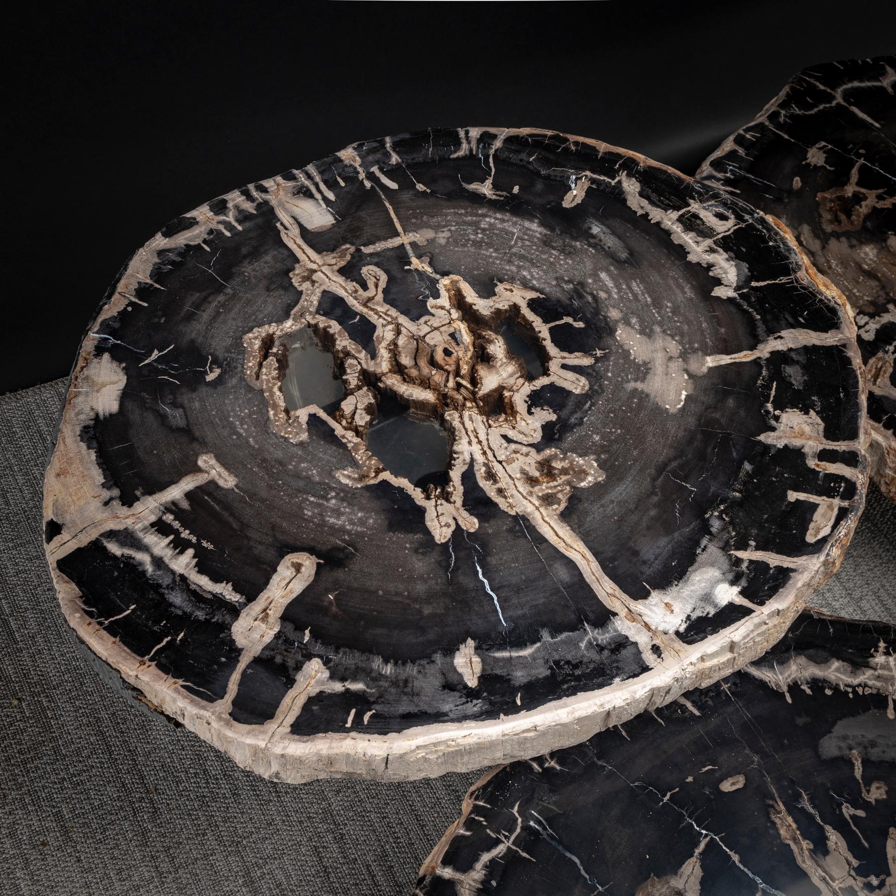 Center Table, Four-Piece Petrified Wood Table with Metal Base 2