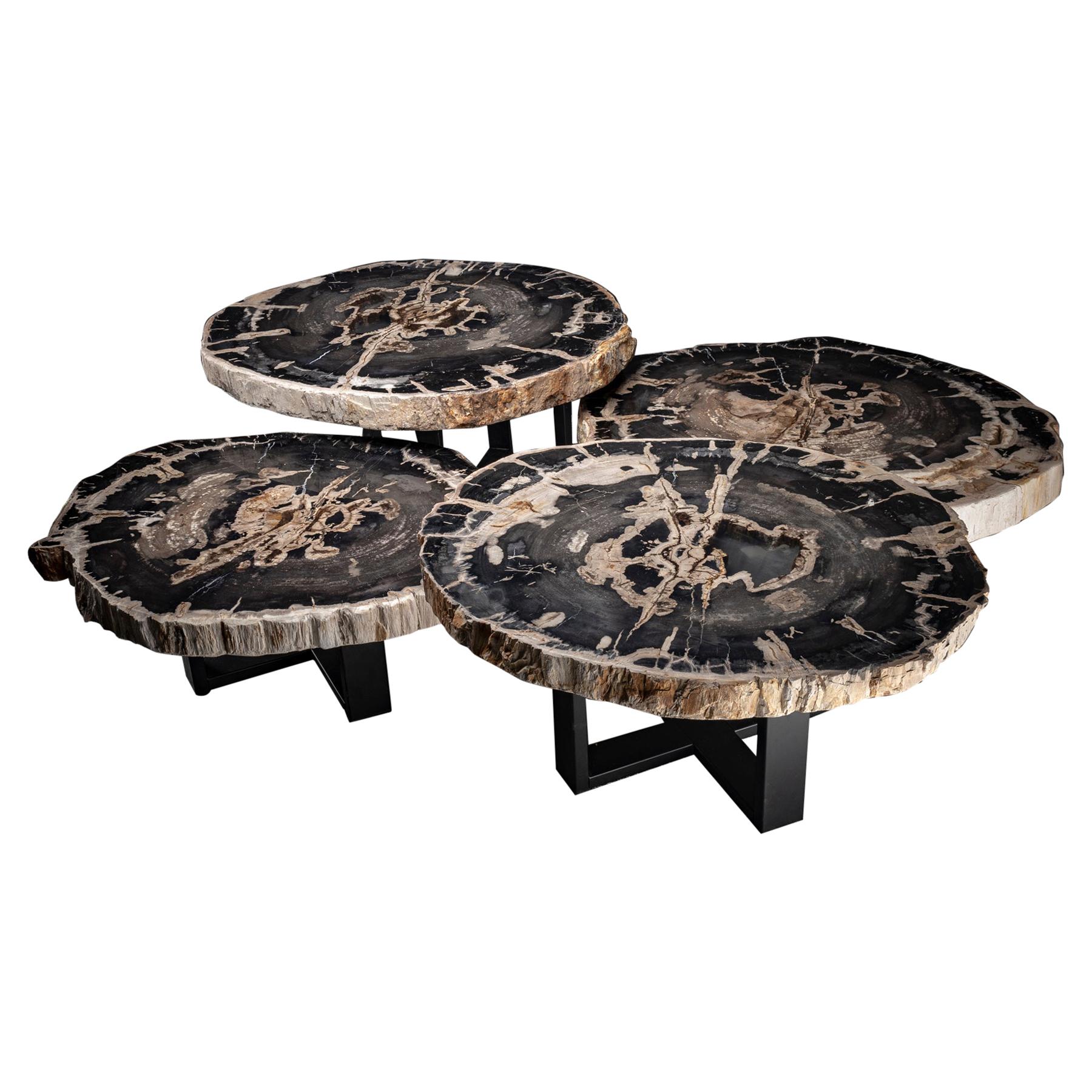 Center Table, Four-Piece Petrified Wood Table with Metal Base