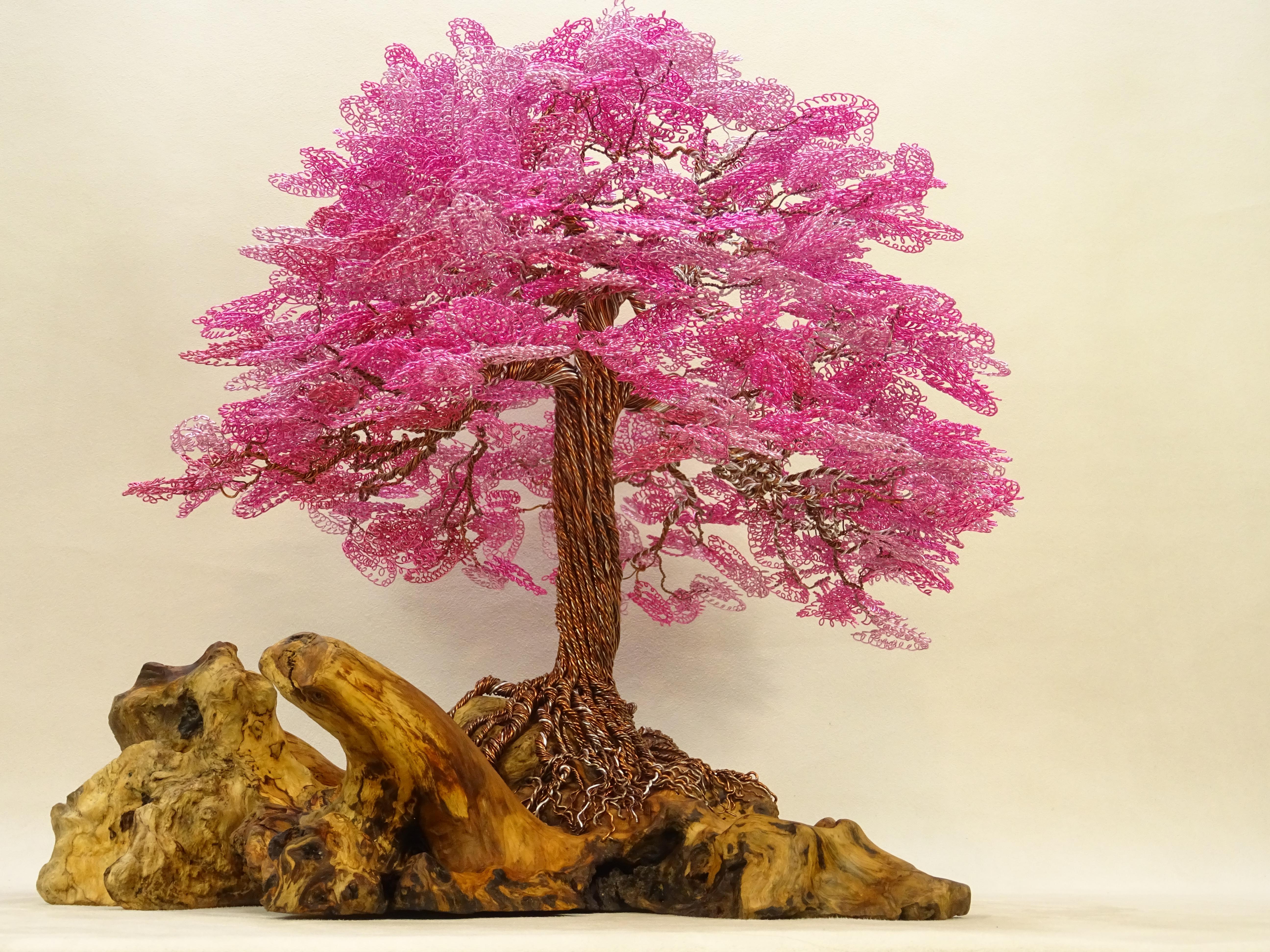 redbud bonsai
